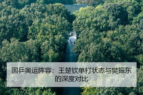 guo-ping-ao-yun-zhen-rong-wang-chu-qin-dan-da-zhuang-tai-yu-fan-zhen-dong-de-shen-du-dui-bi-3-882.jpg