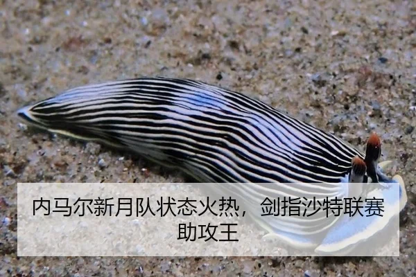 内马尔新月队状态火热，剑指沙特联赛助攻王