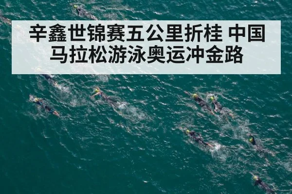 辛鑫世锦赛五公里折桂 中国马拉松游泳奥运冲金路